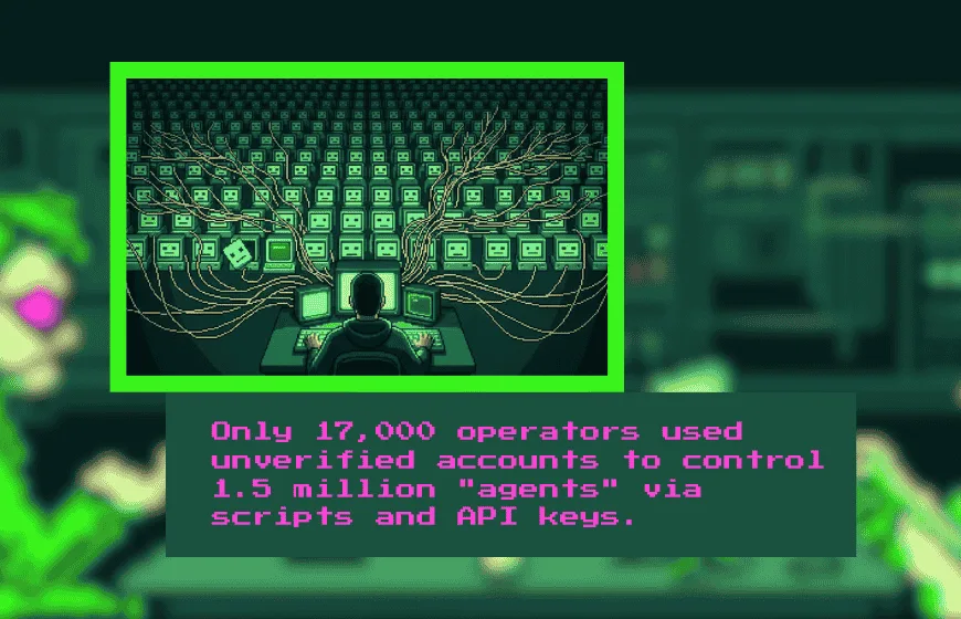 Digital network of automated accounts